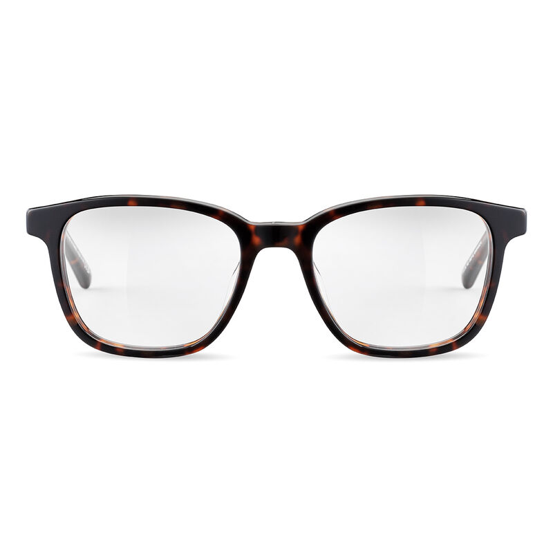 JASP 02, Havana Shiny-, hi-res image number null